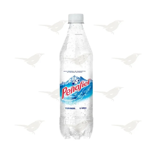 Agua Mineral Peñafiel 600 ml