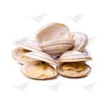 Imagen anterior del producto