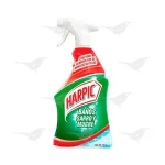 Imagen anterior del producto