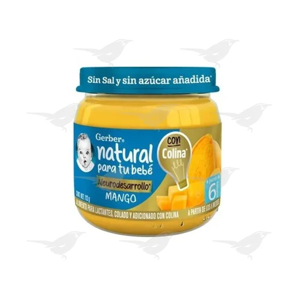 Papilla Gerber Neurodesarrollo Etapa 2 Mango 113g
