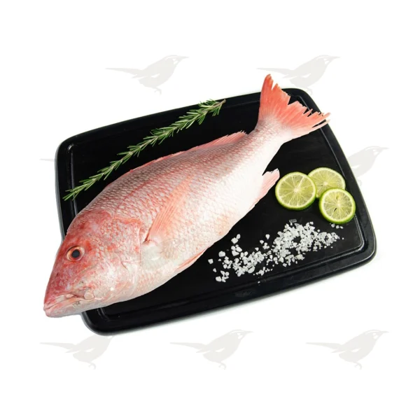 Pargo Huachinango  por Kilo