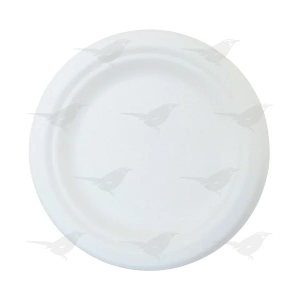 Plato Liso Biodegradable We Care 18 piezas