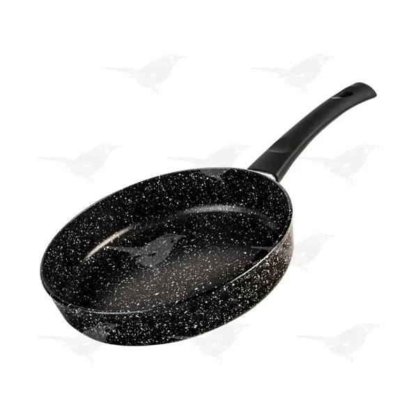Sartén Cinsa Forta Roca 24 cm