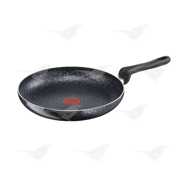 Sartén T-Fal Origins 24cm