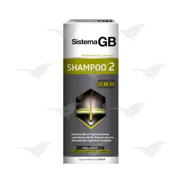 Sistema GB Shampoo 2 Hombre Zinc Climbazol 230ml